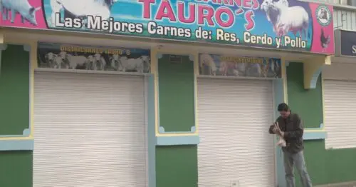 DIATRICARNES TAURO´S DIATRICARNES TAURO´S